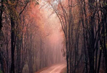 中国足球联赛激烈对垒：球队实力对比